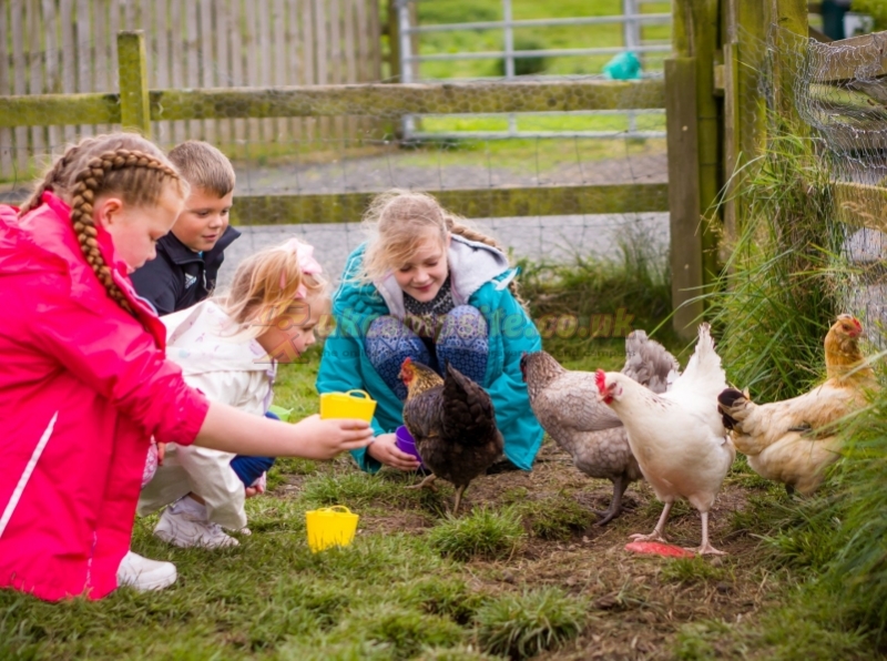 Herding Hill Farm