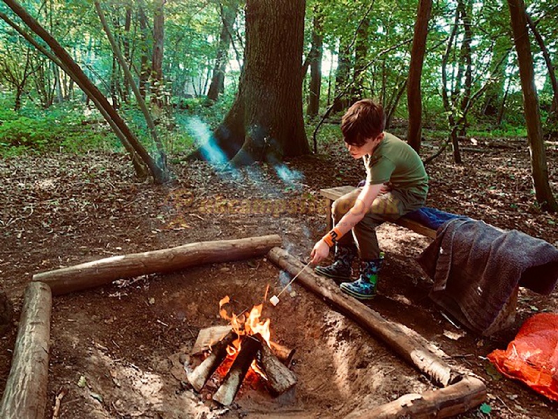 Wild Boar Wood Campsite