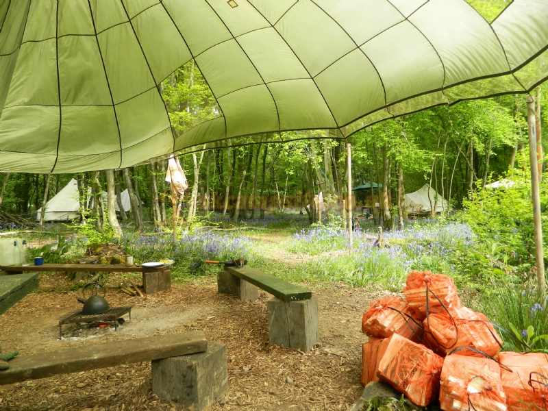 Wild Boar Wood Campsite
