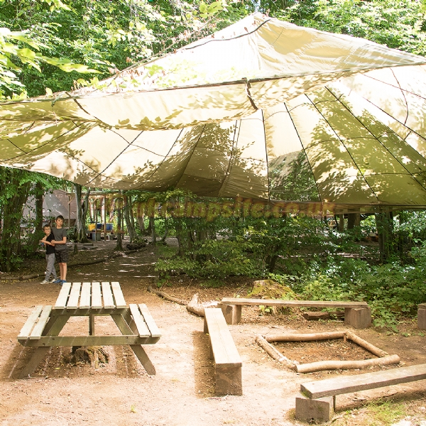 Wild Boar Wood Campsite