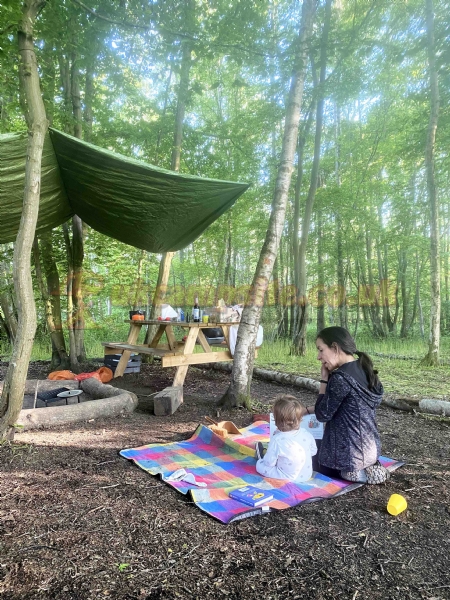 Wild Boar Wood Campsite