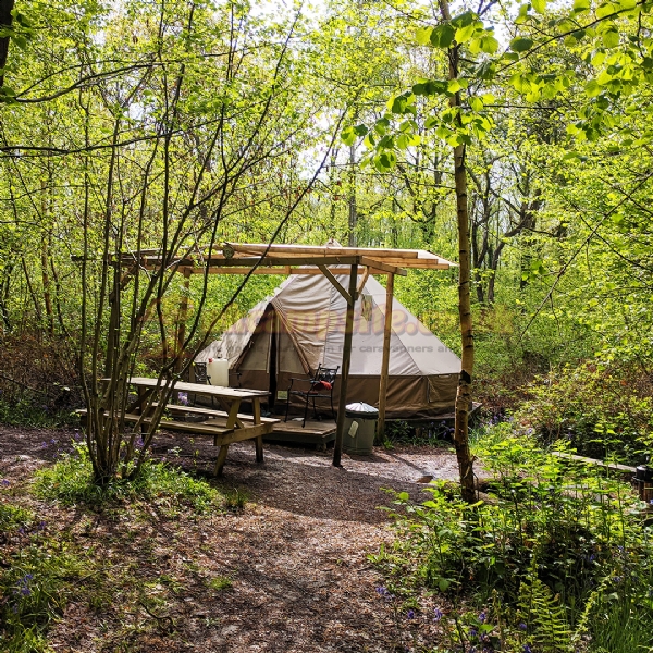 Wild Boar Wood Campsite