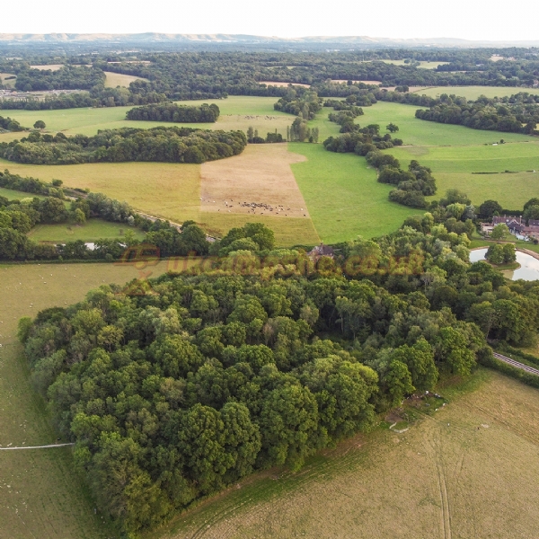Wild Boar Wood Campsite