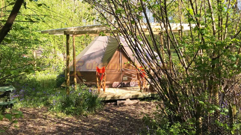 Wild Boar Wood Campsite