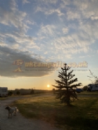 Menehay Farm Touring Park