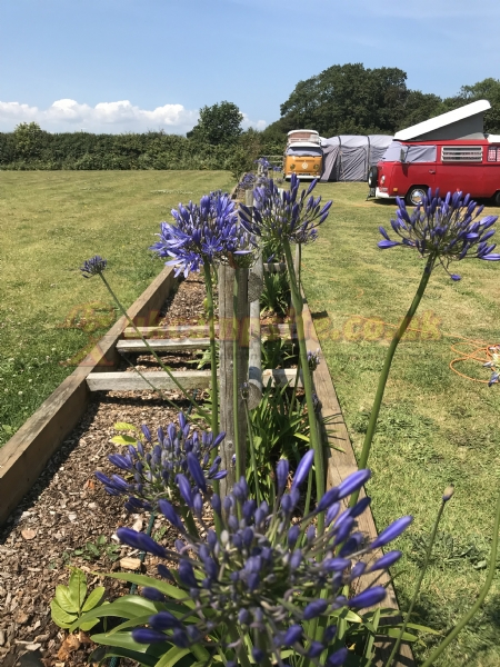 Menehay Farm Touring Park