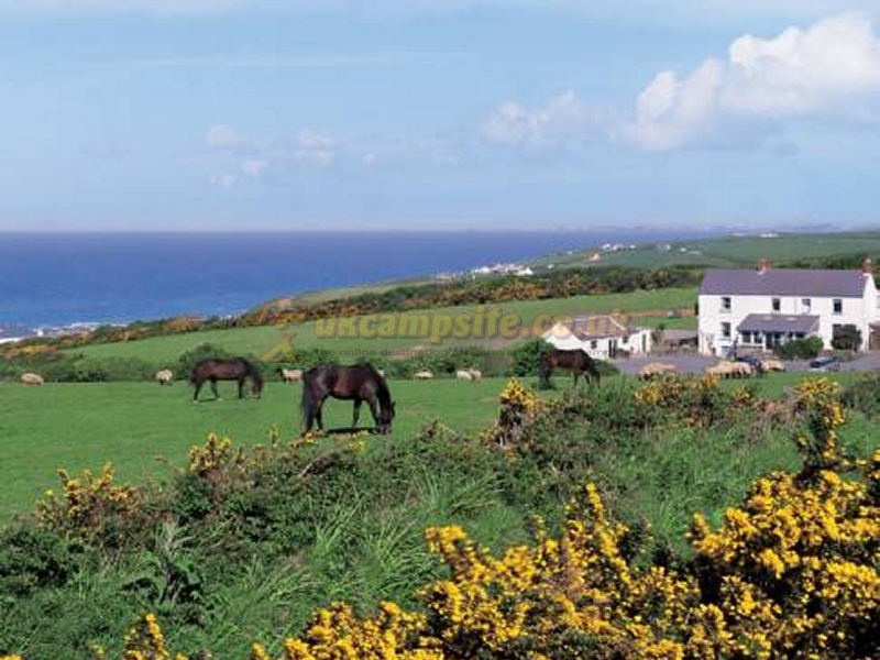 The Bower Farm
