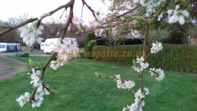 Willow Garth Caravan Site