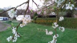 Willow Garth Caravan Site