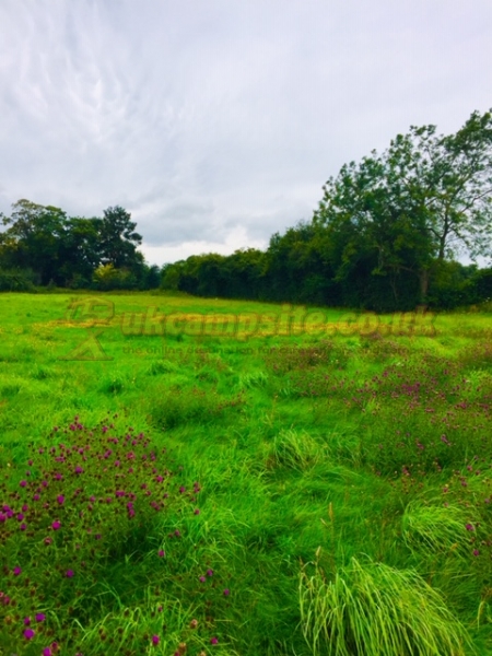 Crosslanes Campsite
