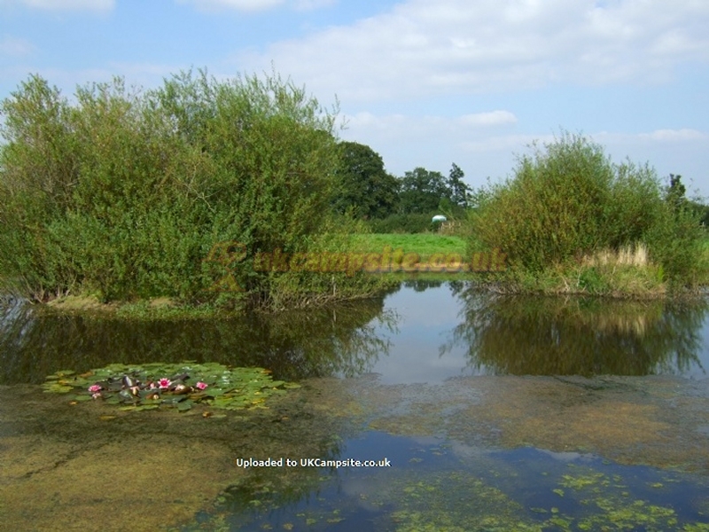 Crosslanes Campsite