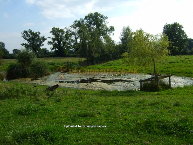 Crosslanes Campsite