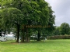 The Knole Certificated Location The Knole Certificated Location