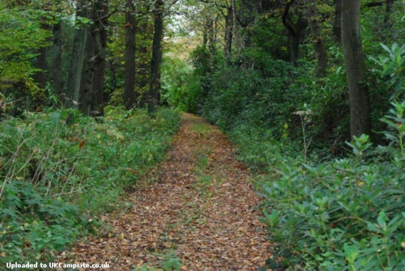 Wood Farm