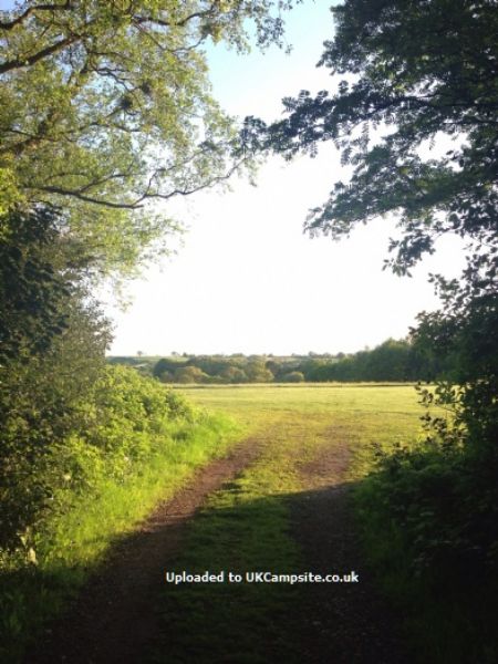 Wood Farm