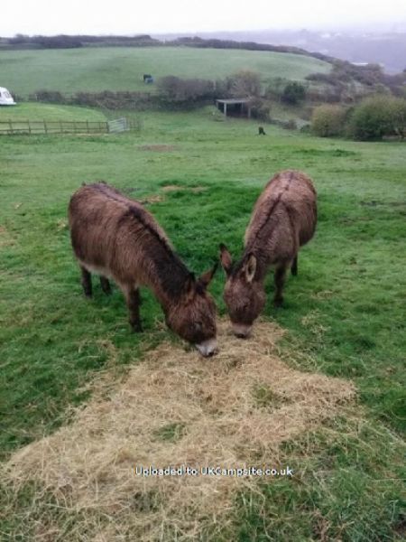 Cross Coombe Farm Certificated Site