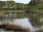 Laytham Park