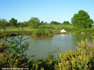 Mitchelswood Campsite