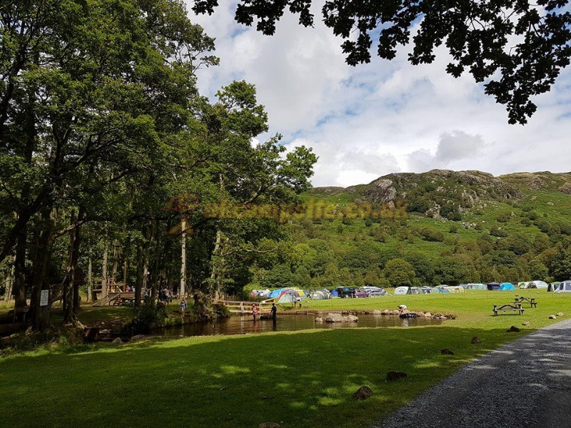 Fisherground Campsite