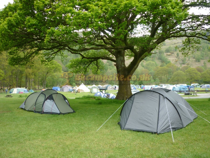 Fisherground Campsite