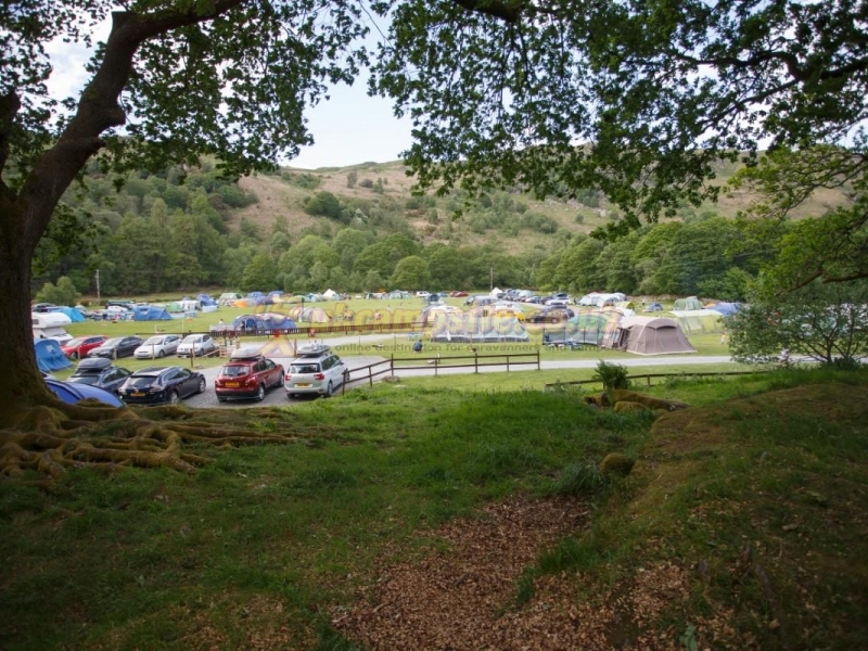 Fisherground Campsite