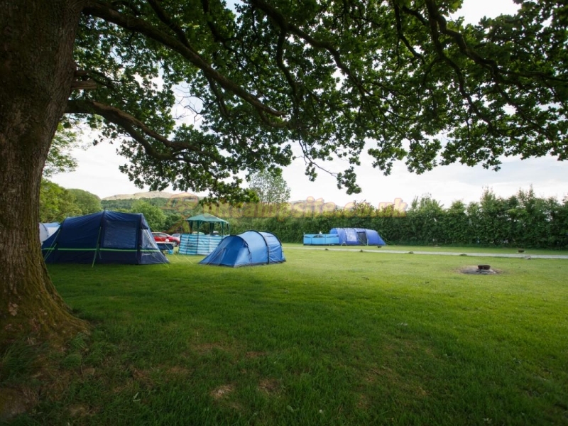 Fisherground Campsite