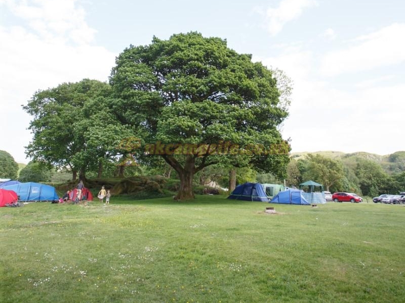 Fisherground Campsite