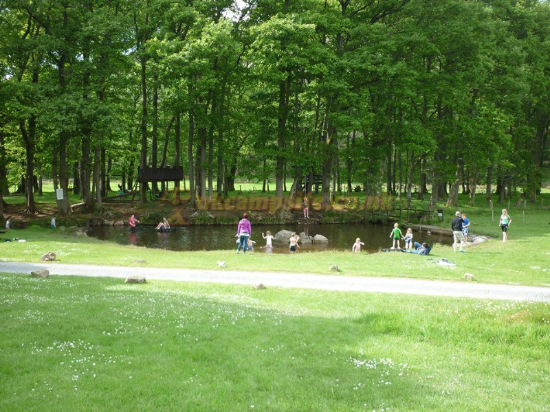 Fisherground Campsite