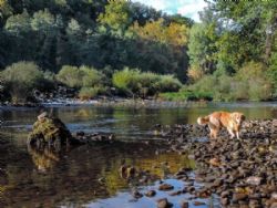 Camping Ruisseau Du Treil