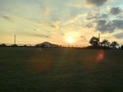 The Old Vicarage Campsite