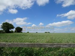 The Old Vicarage Campsite