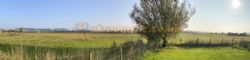 Fernlea Certificated Location