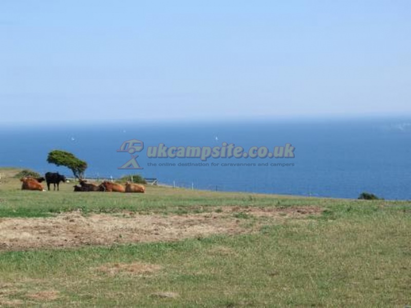 Osmington Hill Farm Certificated Site