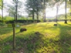 Camping De Letape En Foret Camping De Letape En Foret
