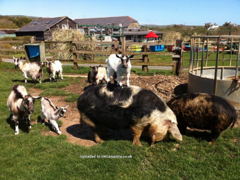 Grange Farm Brighstone Bay
