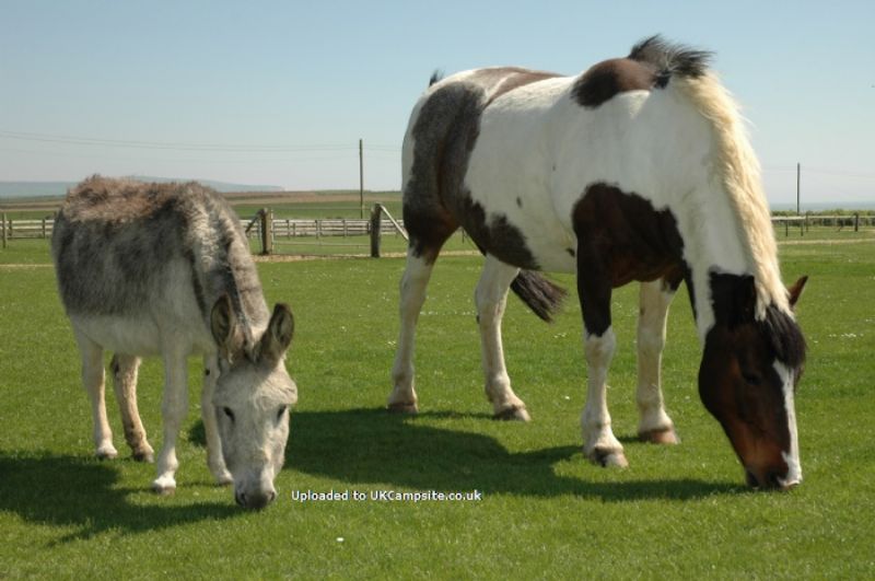 Grange Farm Brighstone Bay