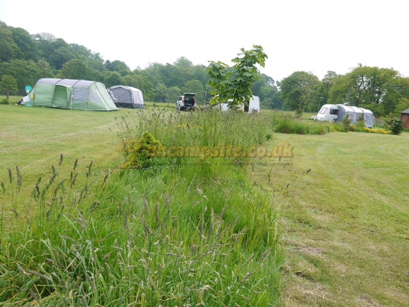 Walkmill Campsite