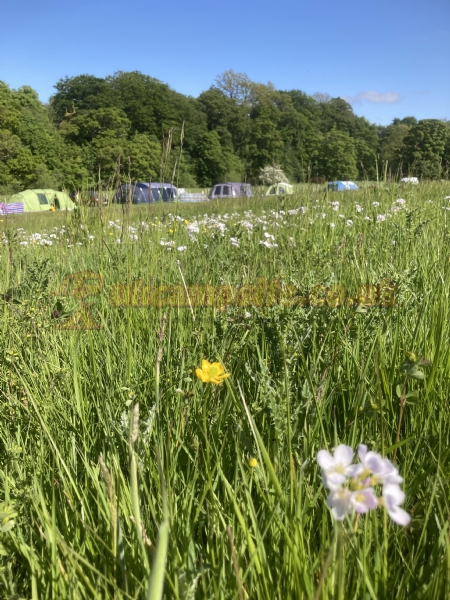 Walkmill Campsite