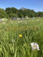Walkmill Campsite