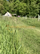 Walkmill Campsite