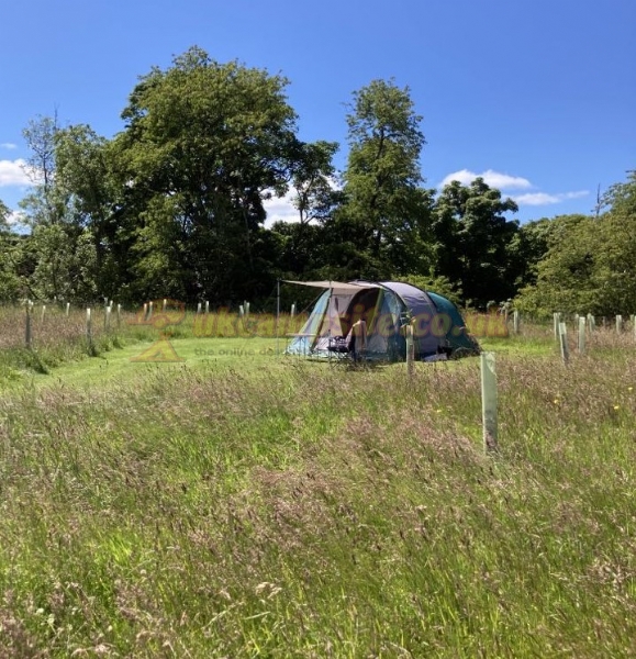 Walkmill Campsite