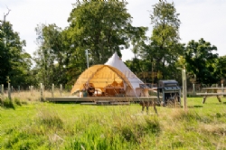 Walkmill Campsite