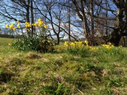 Walkmill Campsite