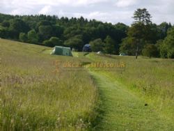 Walkmill Campsite