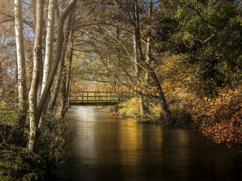 Rockbridge Country Holiday Park
