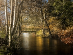 Rockbridge Country Holiday Park