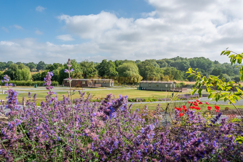 Rockbridge Country Holiday Park