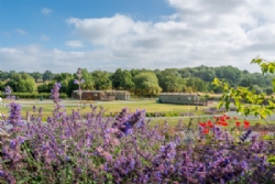 Rockbridge Country Holiday Park