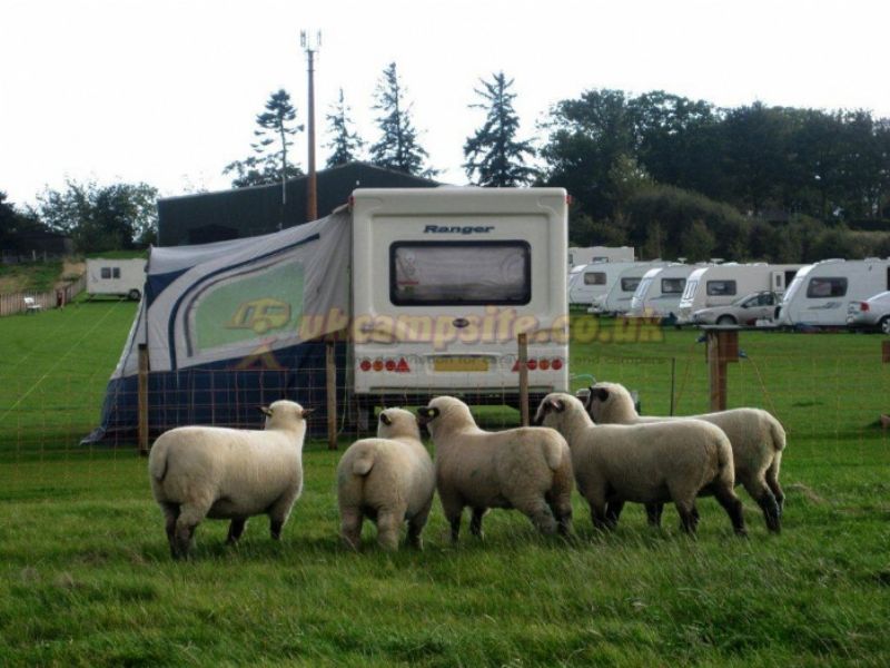Station Park Caravan Site And Certificated Location