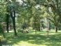 Camping Du Toy Camping Du Toy